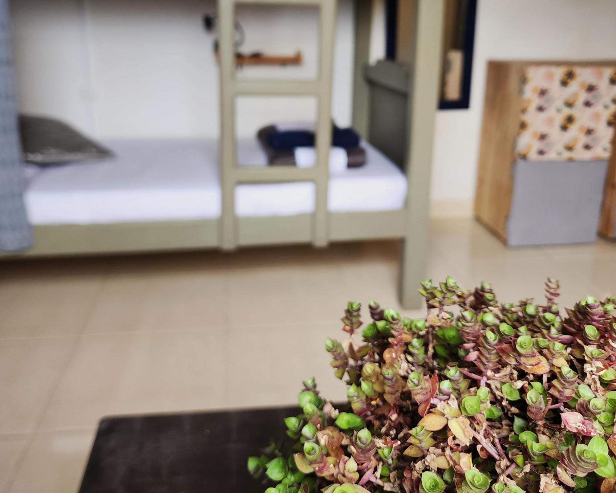 Casa Kayam Art Hostel Coliving Coworking Guatapé Szoba fotó