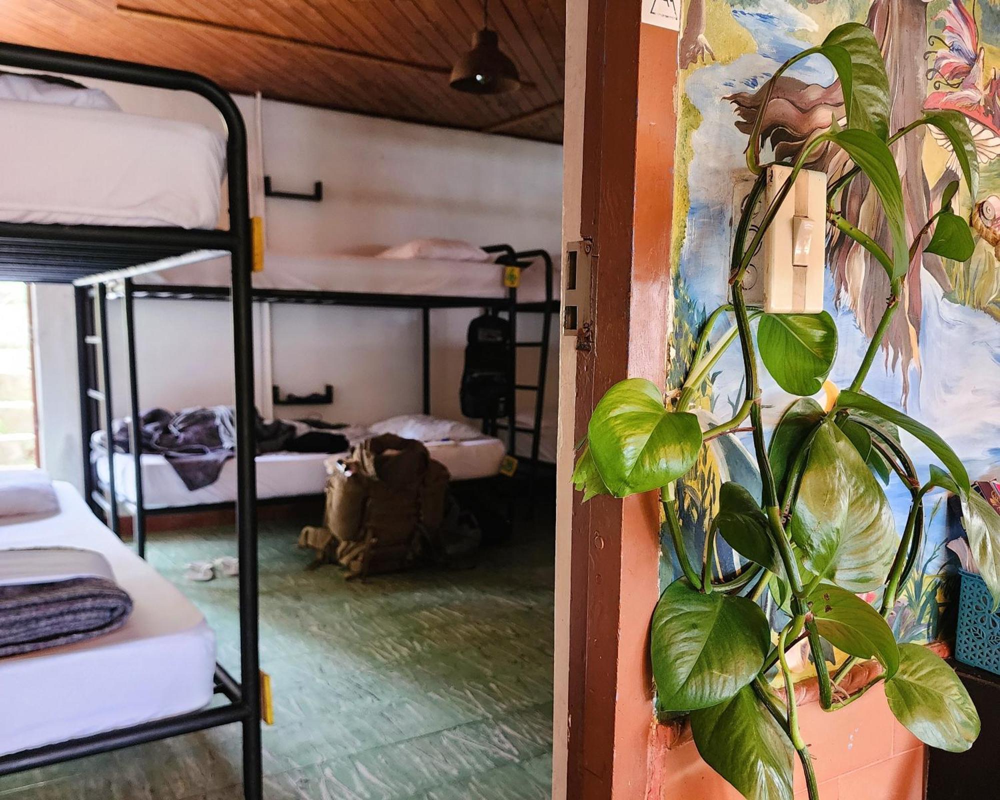 Casa Kayam Art Hostel Coliving Coworking Guatapé Kültér fotó